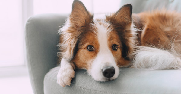 Kod emocji • Katarzyna Poznańska