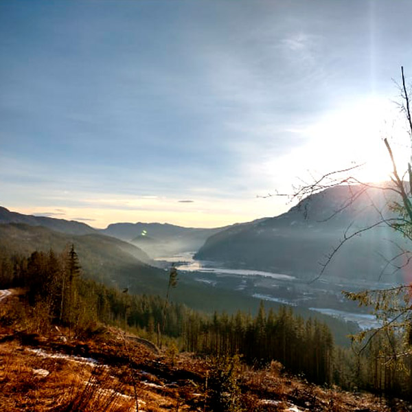 Kod emocji • Katarzyna Poznańska